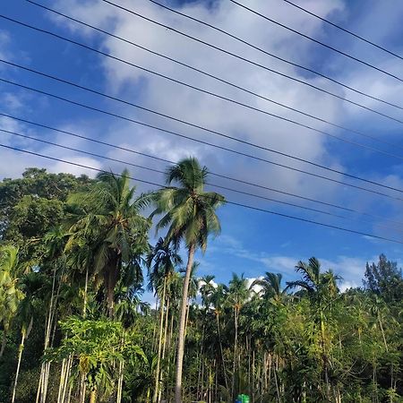 Hilton Garden Apartment Port Blair Bagian luar foto